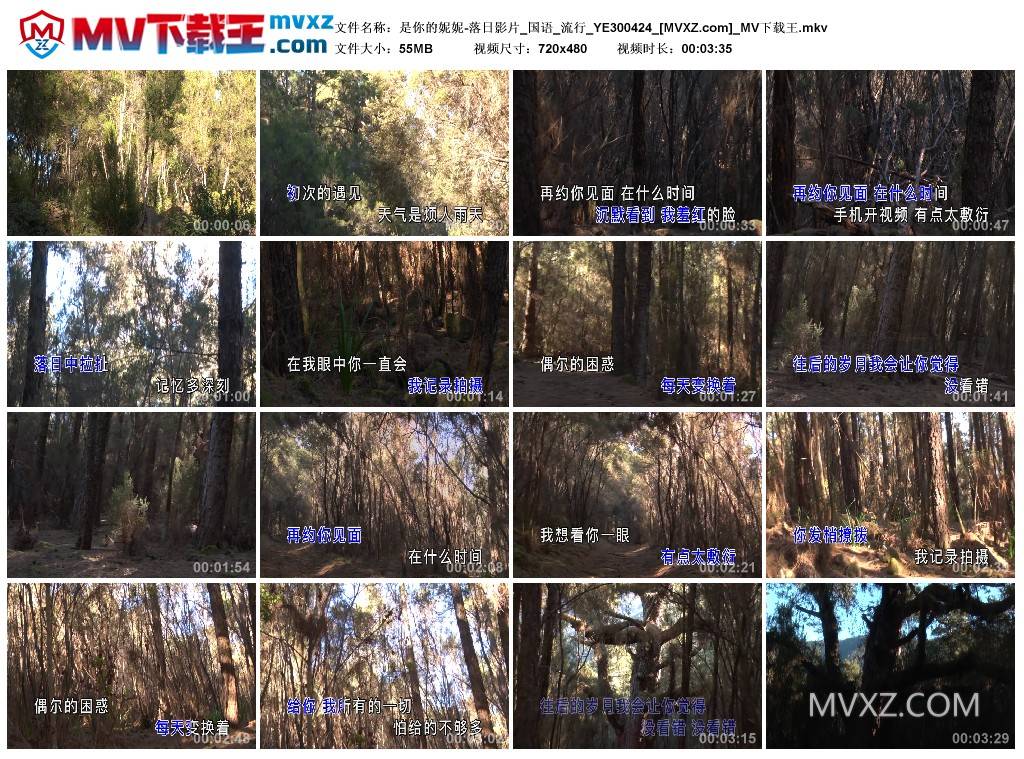 是你的妮妮-落日影片_国语_流行_YE300424